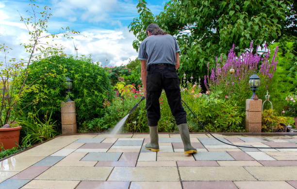 Animal Enclosure Cleaning in El Portal, FL